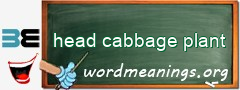 WordMeaning blackboard for head cabbage plant